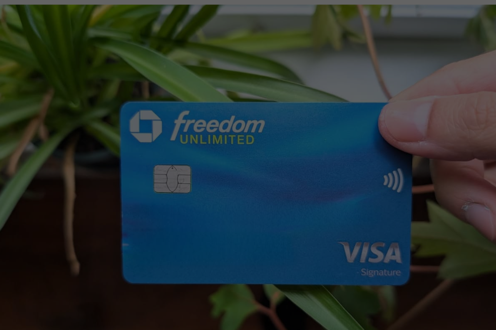 Chase Freedom Unlimited card: no annual fee and cashback